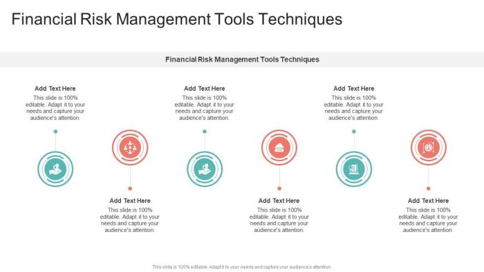 Risk Management Techniques Finance