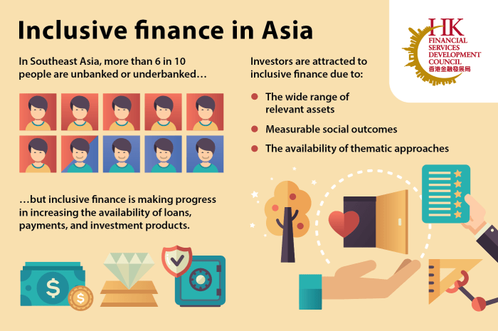 Financial Inclusion Strategies Review