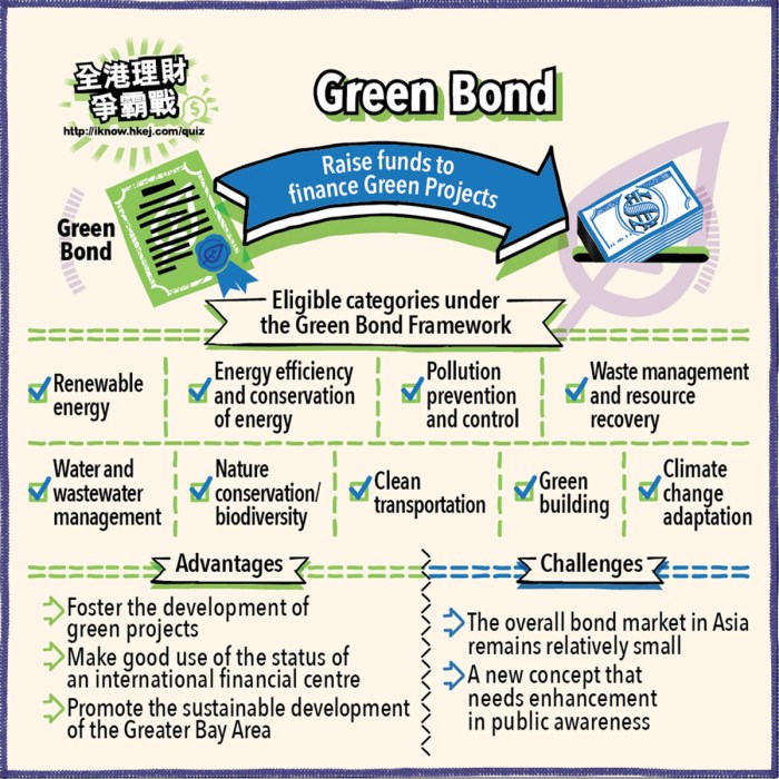 Green Bond Market Review