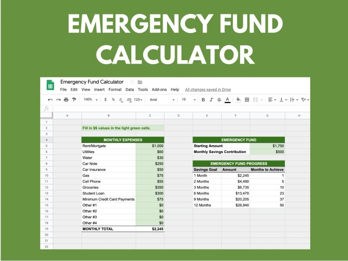 Emergency Fund Planning Guide