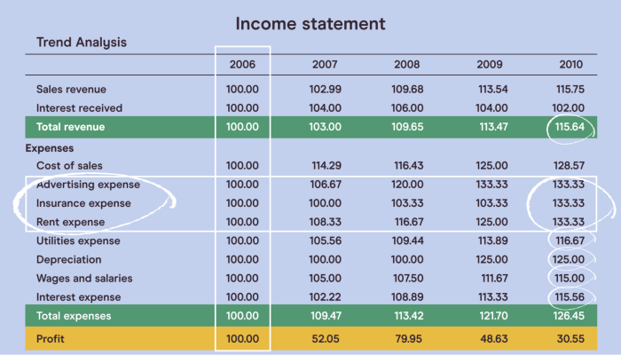 Financial Statement Analysis