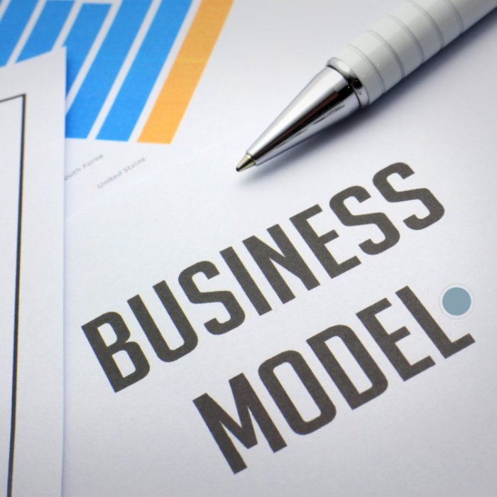 Business Model Innovation Examples