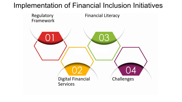 Financial Inclusion Strategies Review