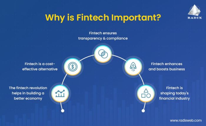 Fintech technology financial services traditional innovation aims refers