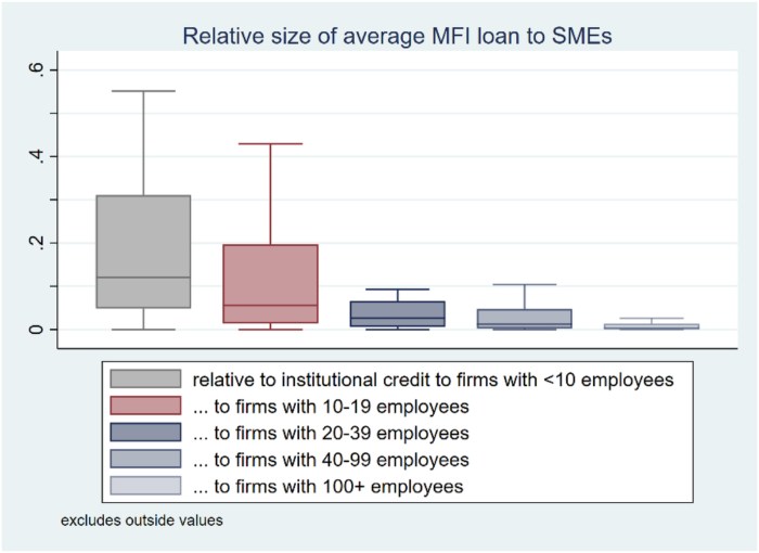 Microfinance Impact Analysis Report