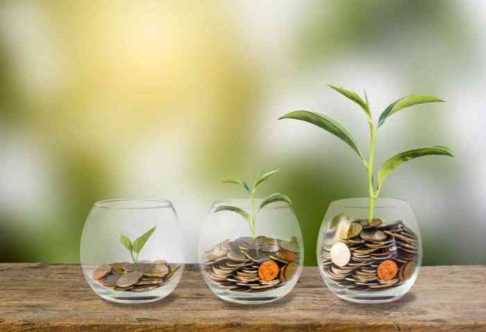 Sustainable Investment Funds