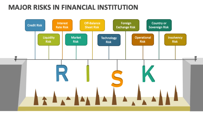 Financial Institution Risk Assessment