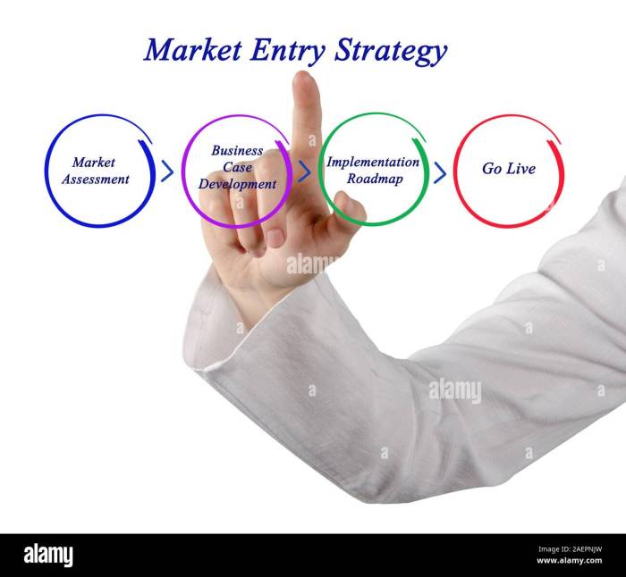 Market Entry Strategies Guide