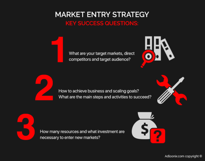 Market Entry Strategies