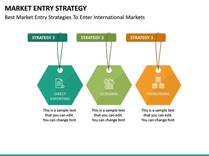 Market Entry Strategies Guide