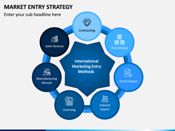 Market Entry Strategies Guide