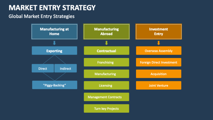 Market Entry Strategies Guide