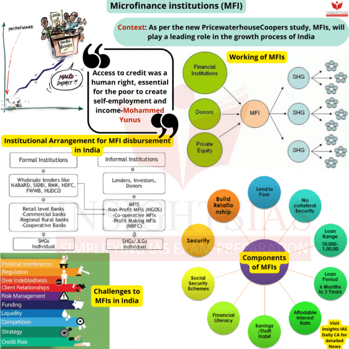 Microfinance Impact Analysis Report