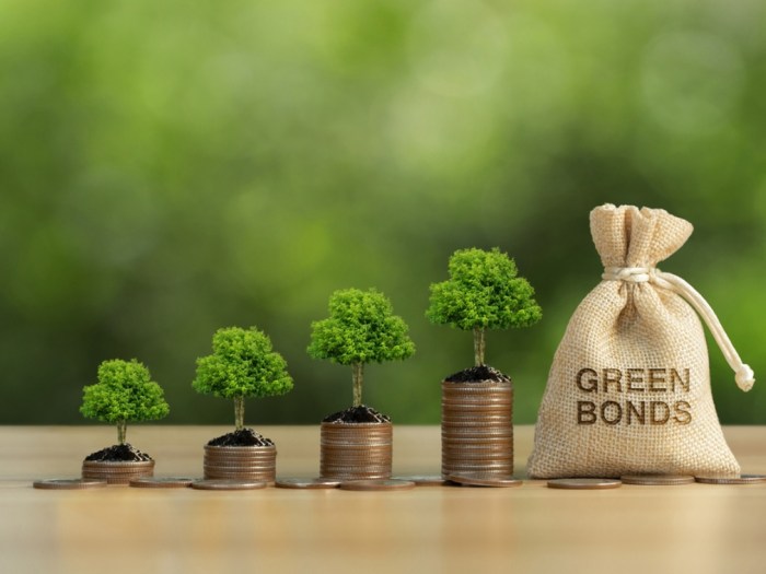 Green Bond Market Review