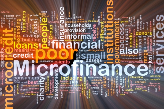 Microfinance Institution Impact