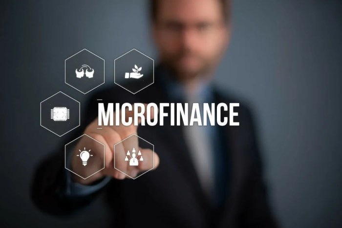 Microfinance Institution Impact