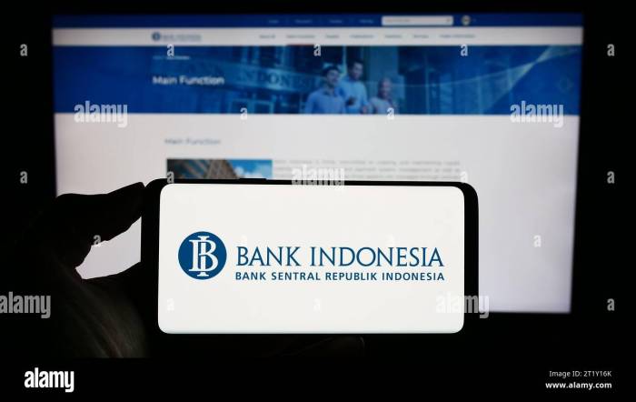 Financial Institutions Ranking Indonesia