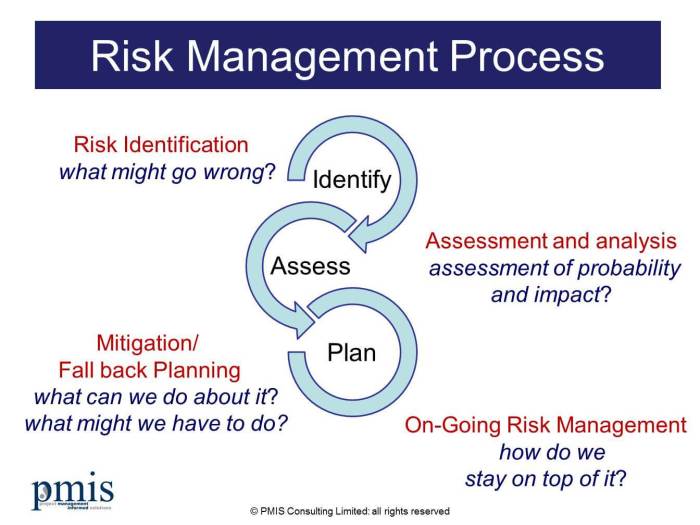 Risk Management Framework Examples