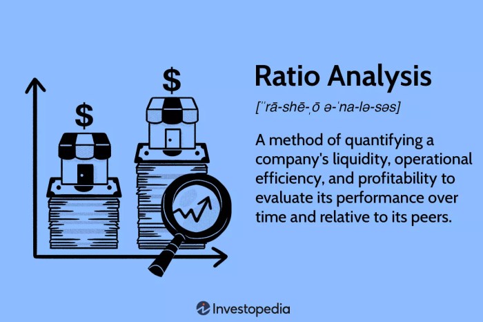 Ratio Analysis Techniques