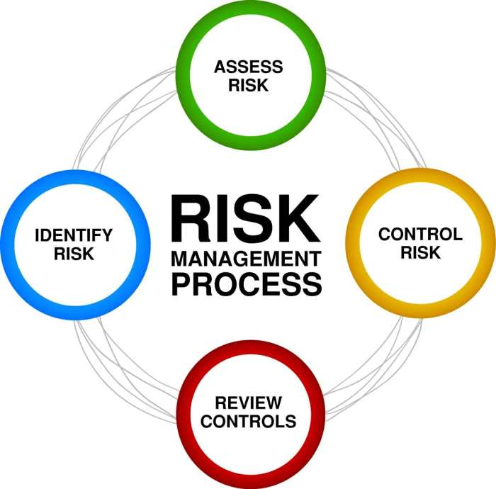 Risk Management Framework Indonesia