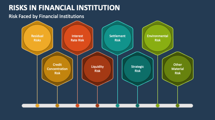 Financial Institution Risk Assessment