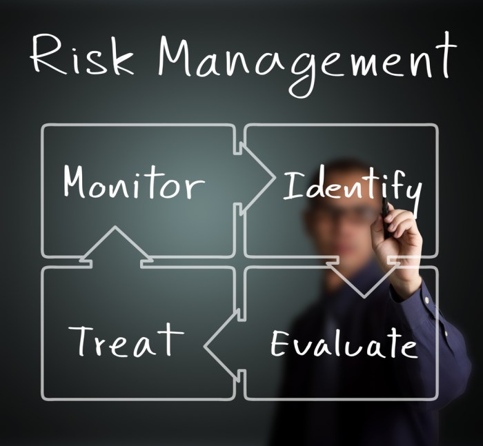 Risk Management Strategies Guide