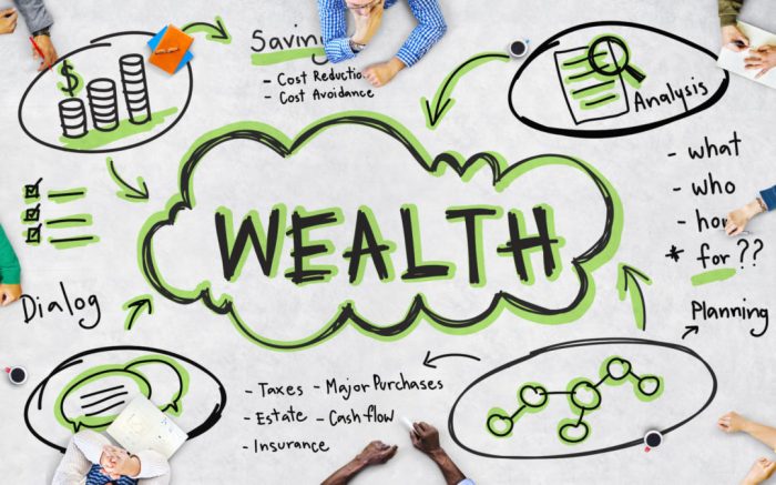 Management wealth strategy personal planning insurance tax cash flow estate portfolio