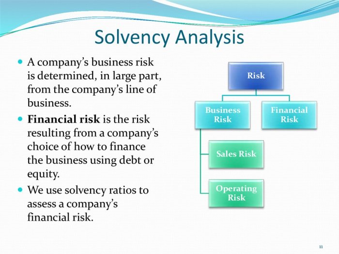 Financial Statement Analysis Techniques