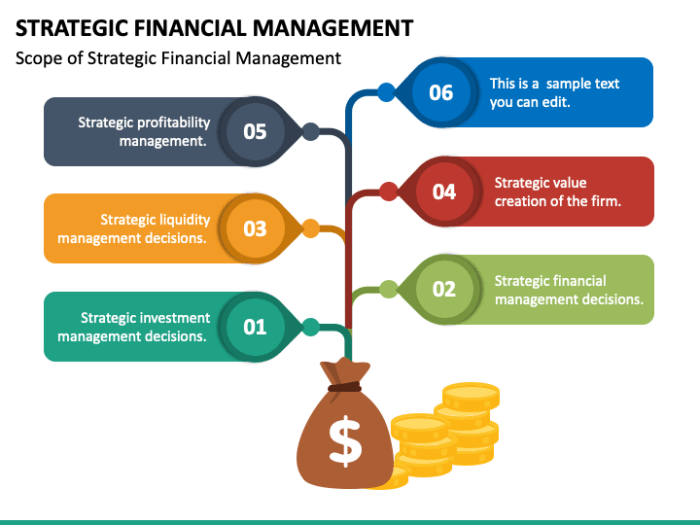 Strategic Financial Management