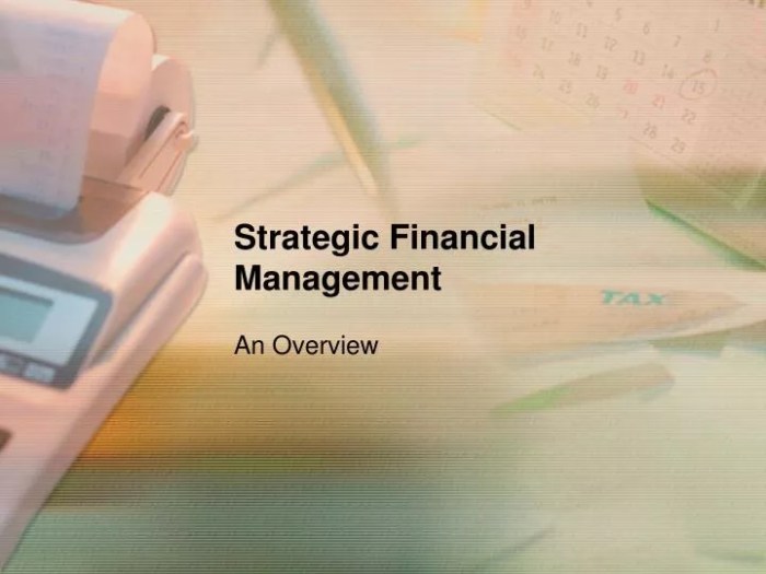 Strategic Financial Management Techniques