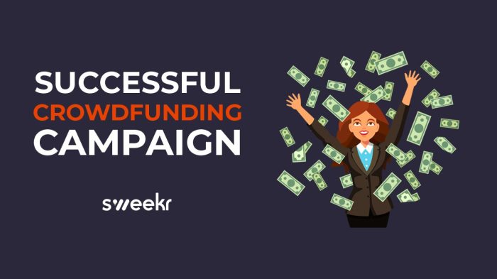 Crowdfunding campaign successful tips