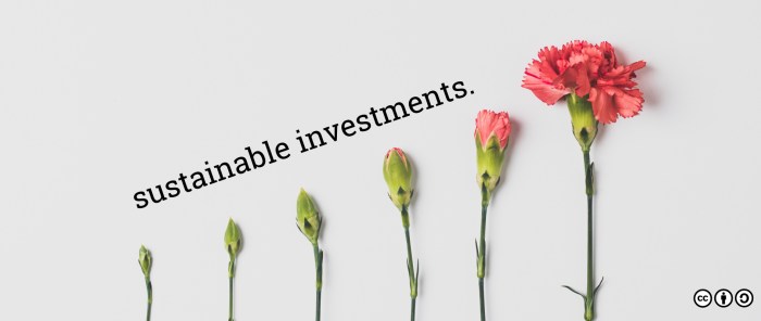 Sustainable Investment Funds