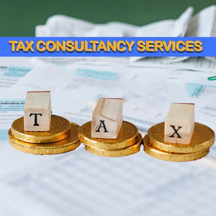 Tax Consulting Services