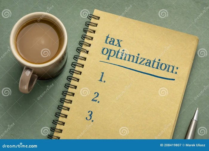 Tax Optimization Techniques