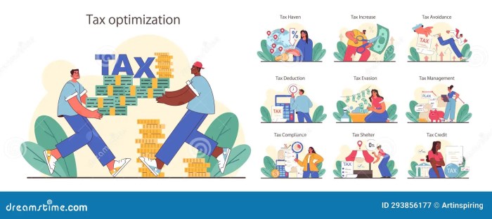 Tax Optimization Techniques Review