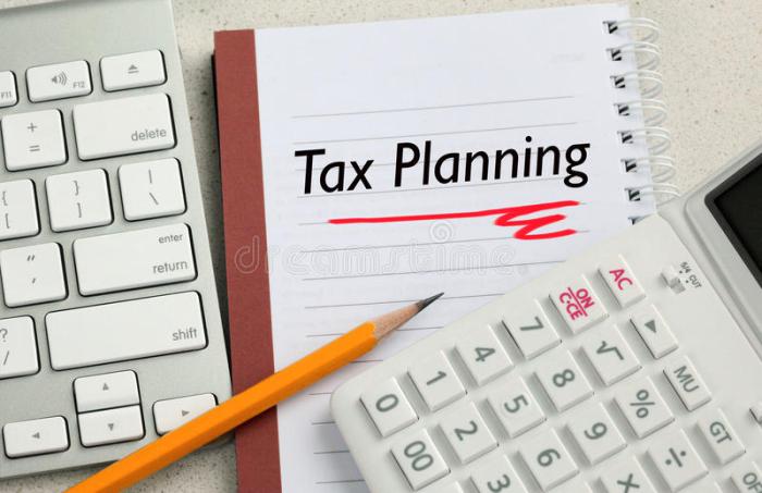 International Tax Planning