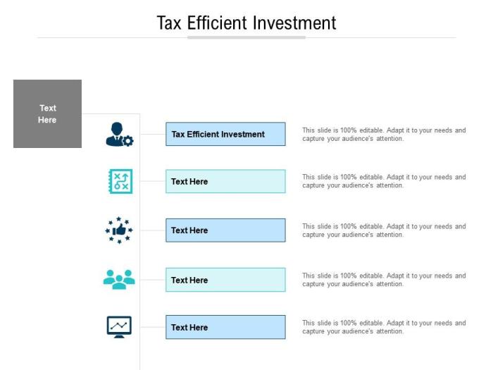 Tax-Efficient Investment Techniques