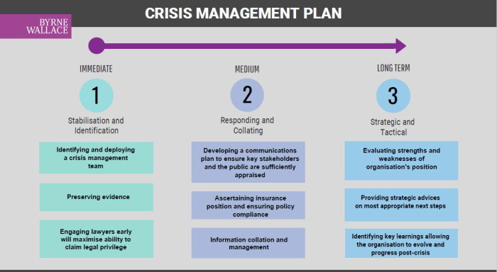 Financial Crisis Management Strategies