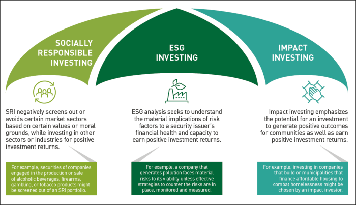 Esg investing investment moneylion factors impact