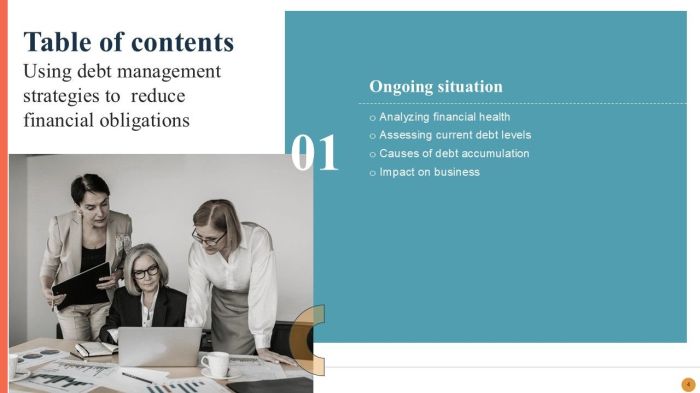 Financial Crisis Management Strategies