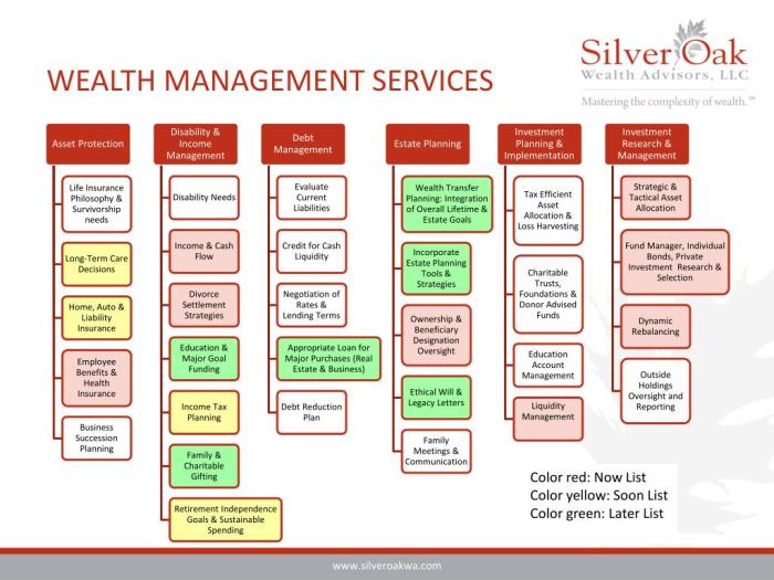 Wealth management manager investment