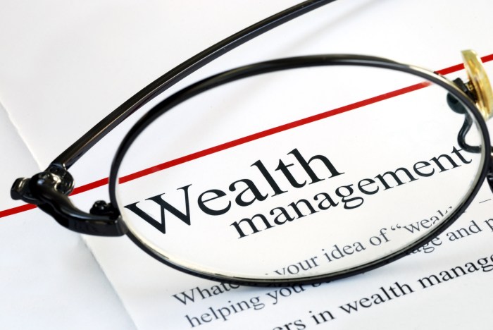 Wealth Management Strategies