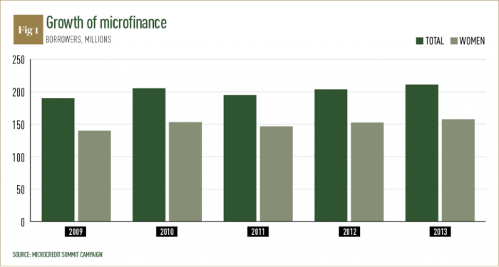 Microfinance Impact Analysis