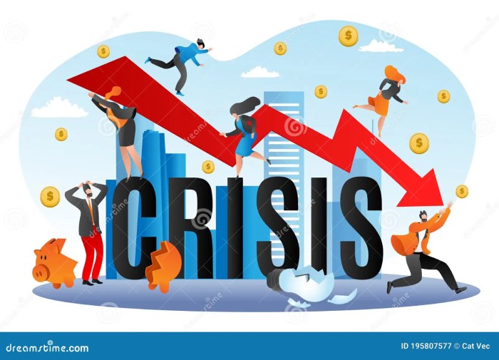 Financial Crisis Management