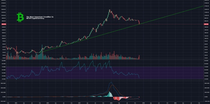 Cryptocurrency Market Analysis