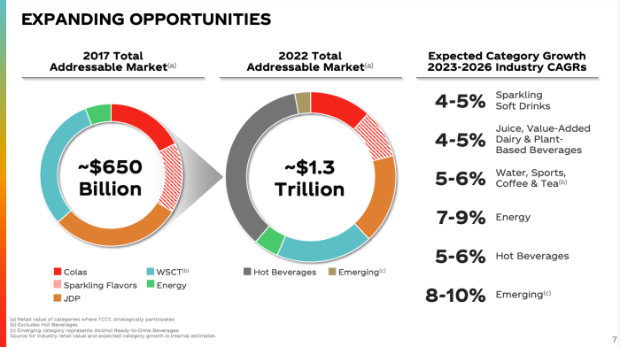 Market research report on coca cola