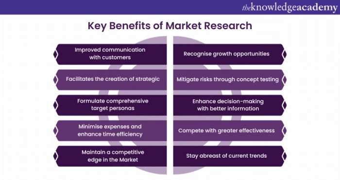 Market research reports advantages and disadvantages